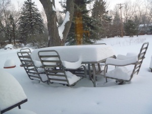 My deck, January 9.